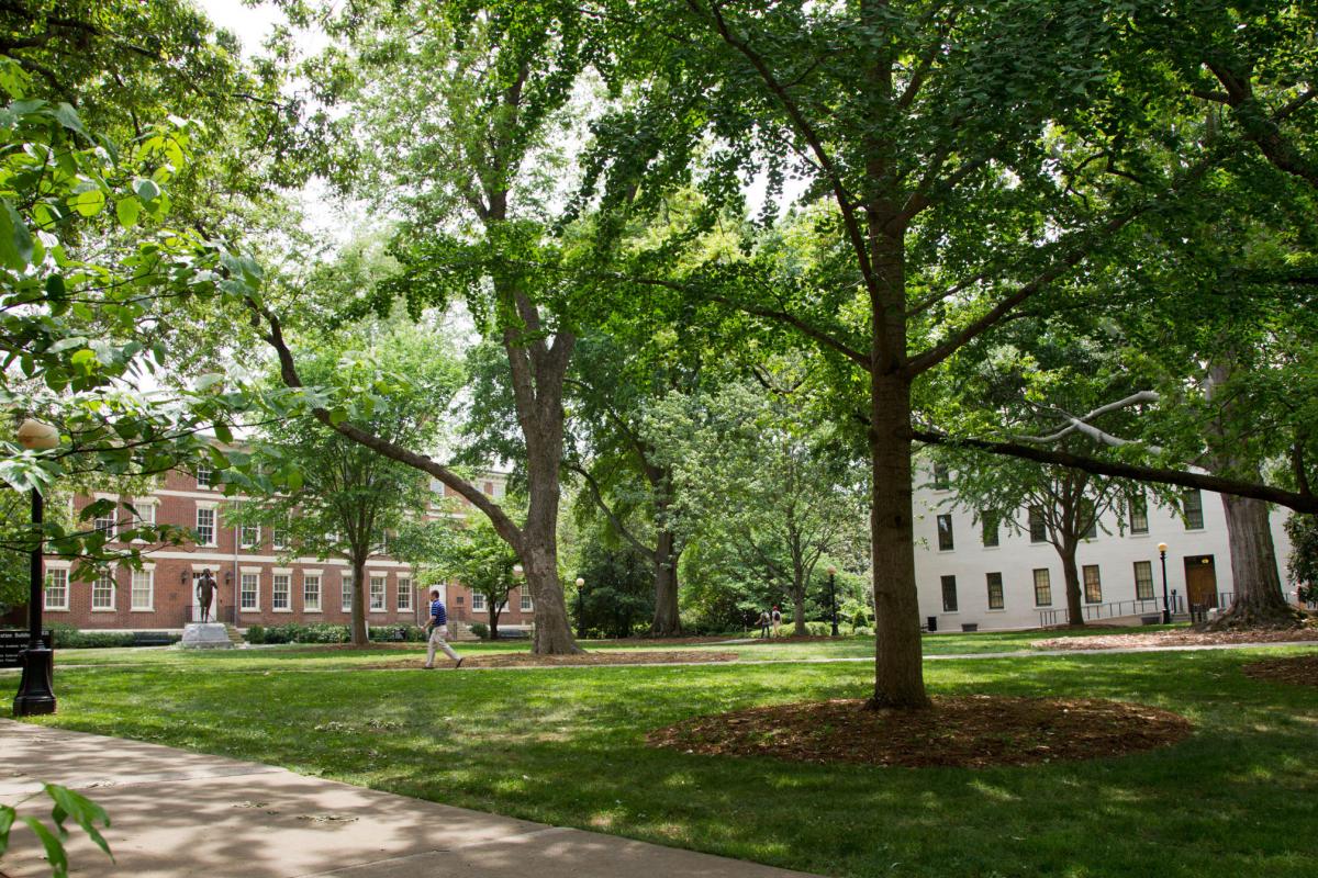 grounds